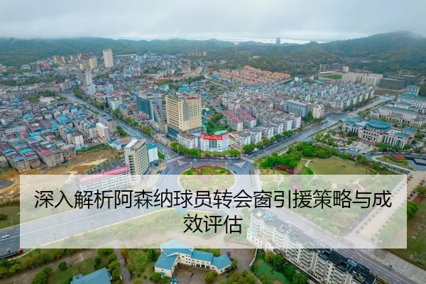shen-ru-jie-xi-a-sen-na-qiu-yuan-zhuan-hui-chuang-yin-yuan-ce-lve-yu-cheng-xiao-ping-gu-2-768.jpg