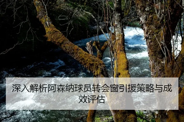 深入解析阿森纳球员转会窗引援策略与成效评估