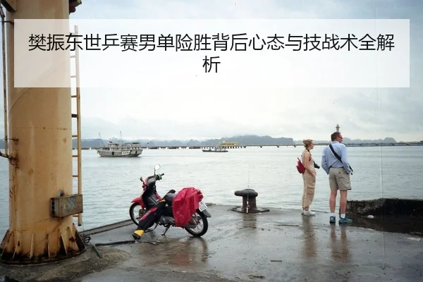 樊振东世乒赛男单险胜背后心态与技战术全解析